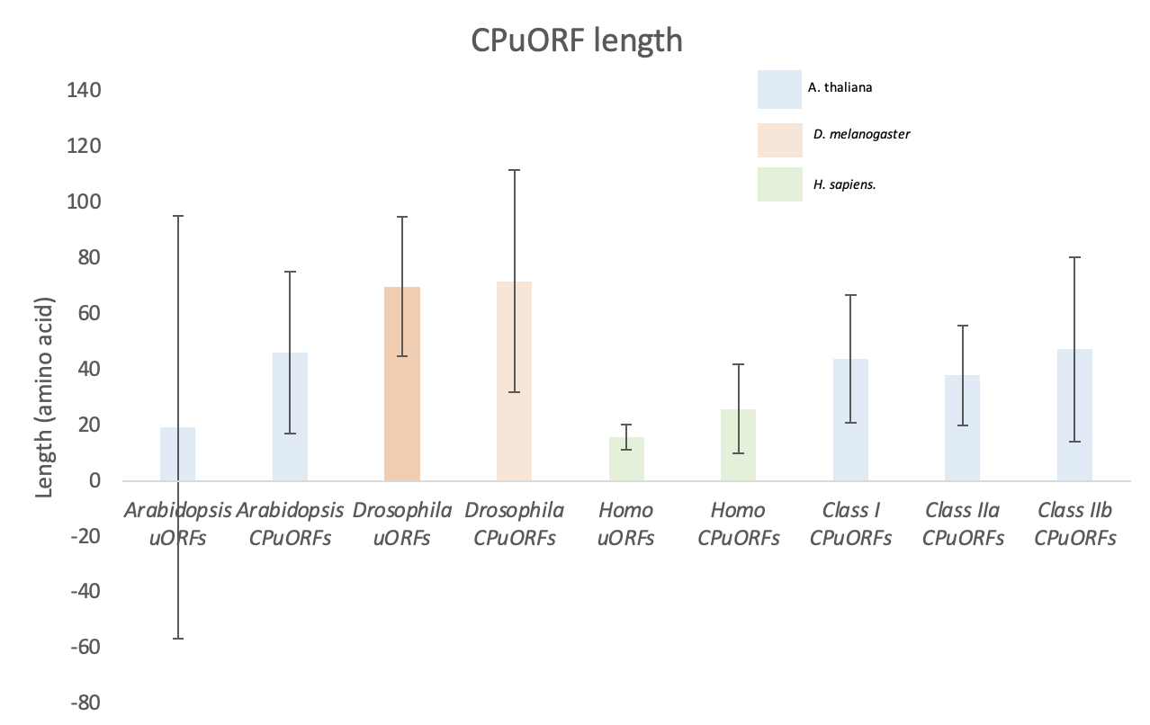 Bar chart to ivnestigate CPuORF length across taxa